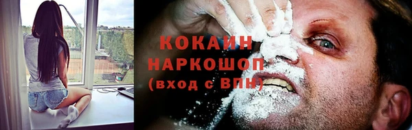 эйфоретик Бородино