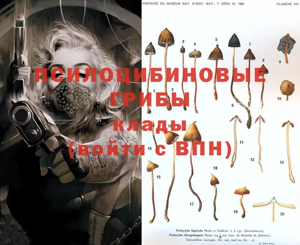 эйфоретик Бородино