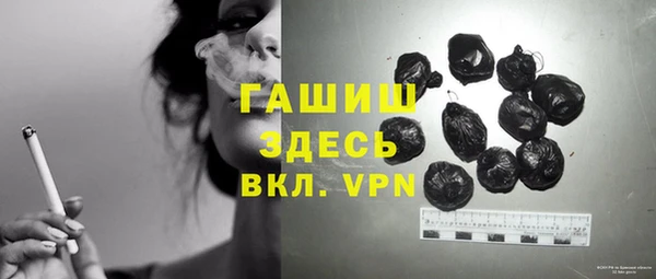 эйфоретик Бородино
