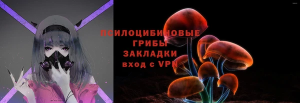 стафф Богородицк