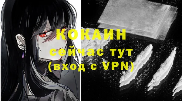 эйфоретик Бородино