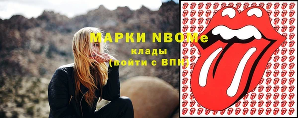 сатива Бронницы
