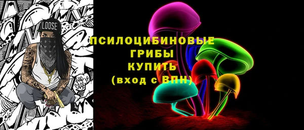 эйфоретик Бородино