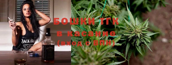 эйфоретик Бородино