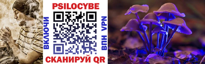 Купить  Покров  Псилоцибиновые грибы GOLDEN TEACHER 